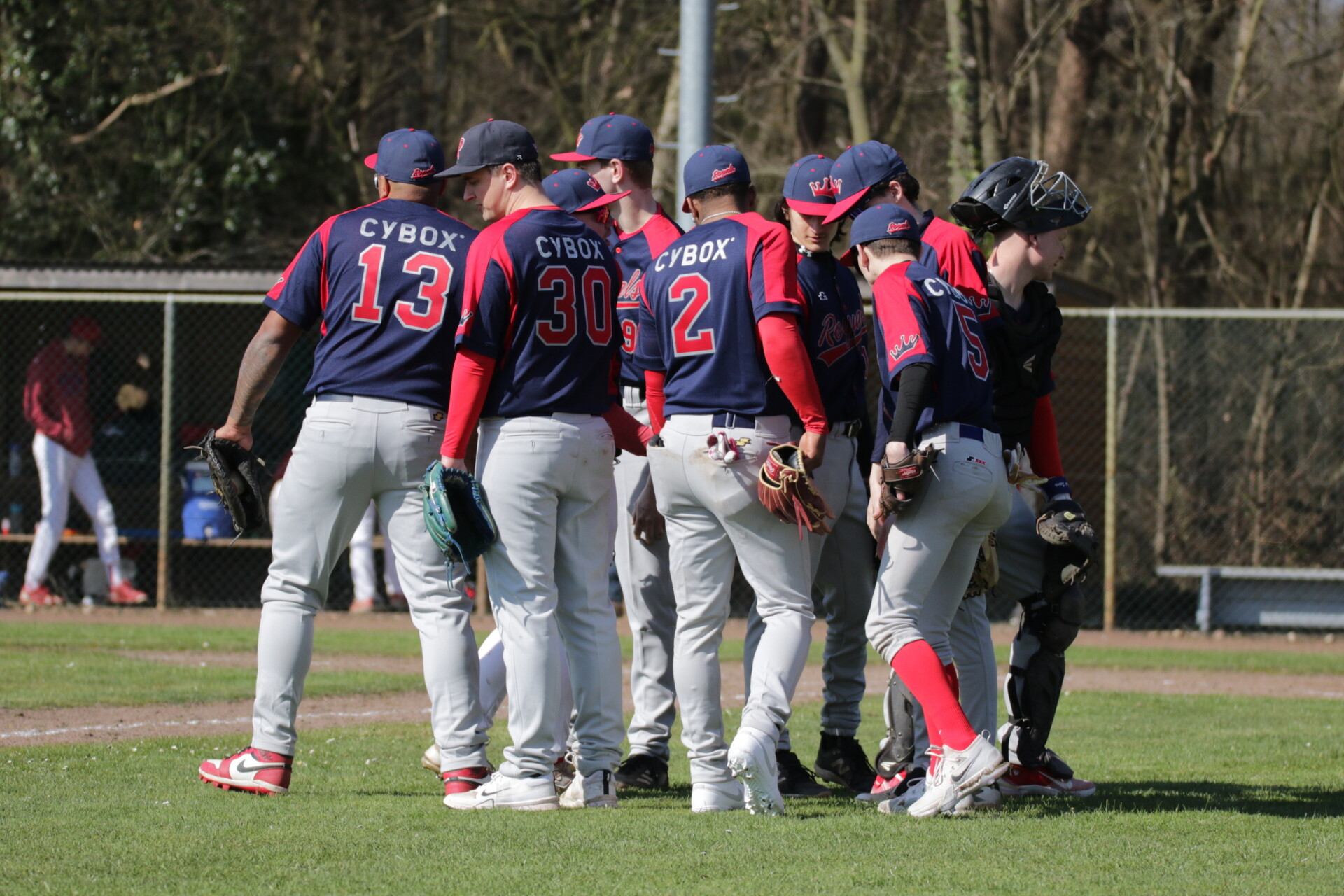 Website voor honkbalclub Royals